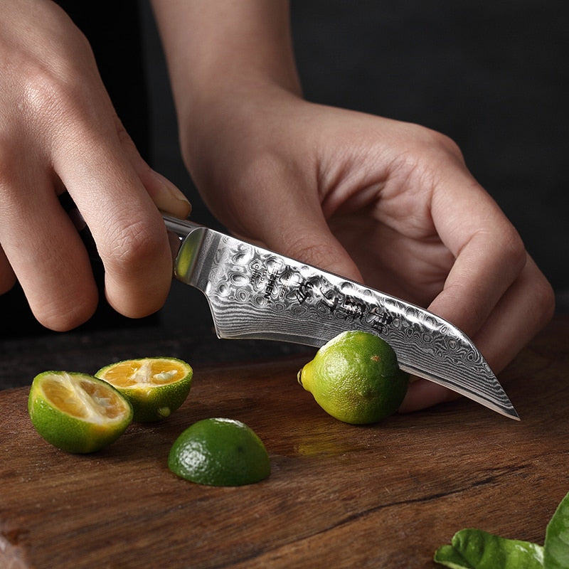 Damascus Steel Paring Knife